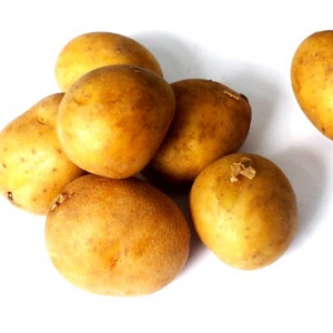 What is good about the German Zekura potato variety: description, characteristics and reviews