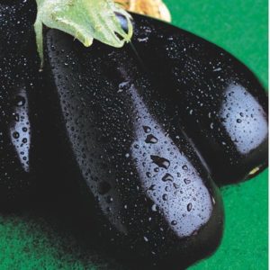 We understand the varieties of eggplant: what are their differences