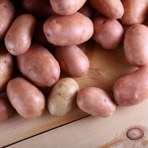 Medium early potato variety Handsome with amazing taste