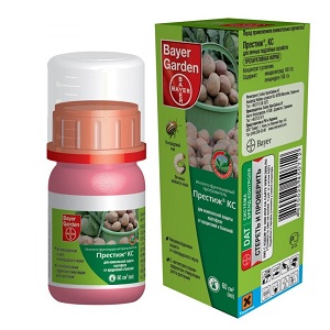 Method of using the drug Prestige for processing potatoes and reviews about it
