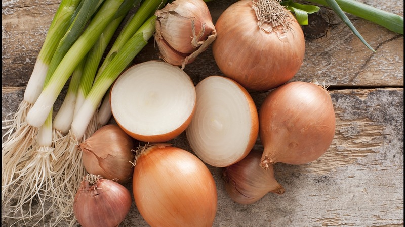 Onion sets Sturon: is it possible to plant before winter and care features