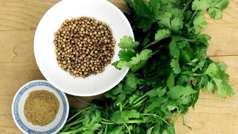How to tell cilantro from parsley