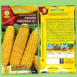 How corn grows: photos and stages of cultivation, advice from experienced farmers