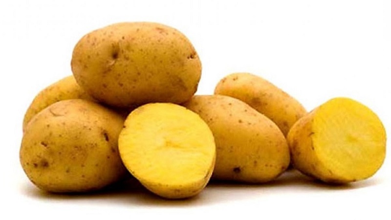 Early maturing potato variety Nandina with good keeping quality