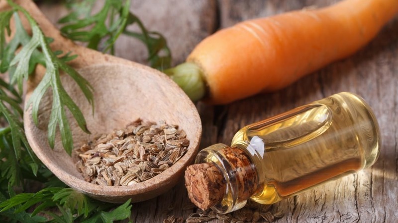 How to make carrot seed oil and what it is used for