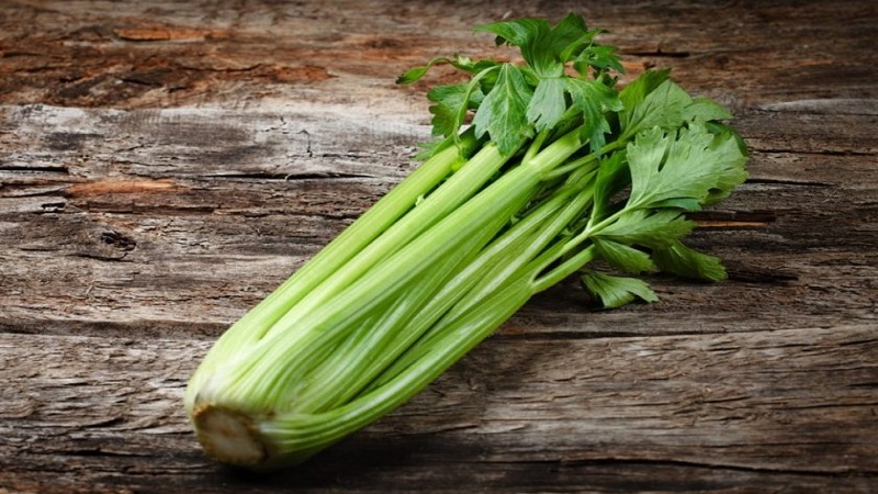 What is the difference between lovage and celery, or is it the same thing?