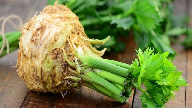 What is the difference between lovage and celery, or is it the same thing?