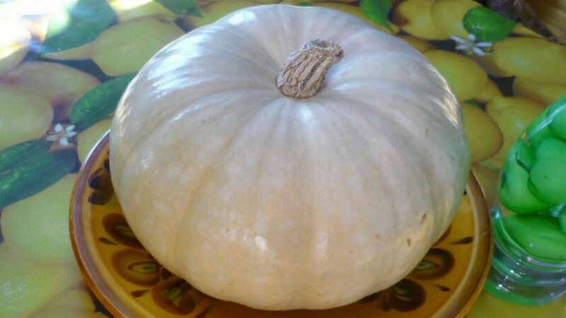 Low-calorie, but at the same time sweet vegetable with a pleasant aroma - Honey pumpkin