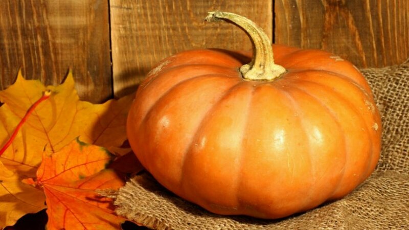 Low-calorie, but at the same time sweet vegetable with a pleasant aroma - Honey pumpkin