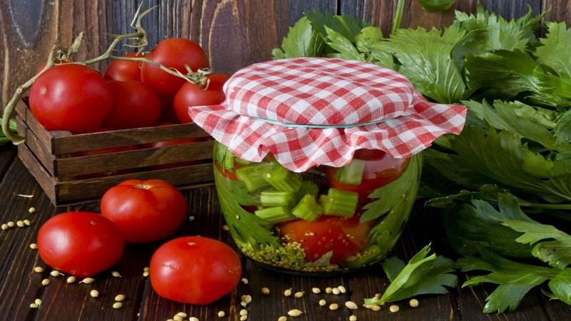 Amazing-tasting recipes for tomatoes with celery for the winter