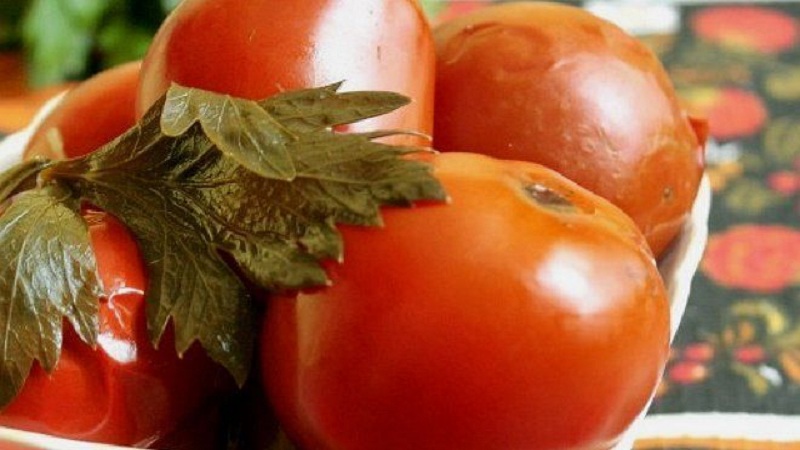 Amazing-tasting recipes for tomatoes with celery for the winter