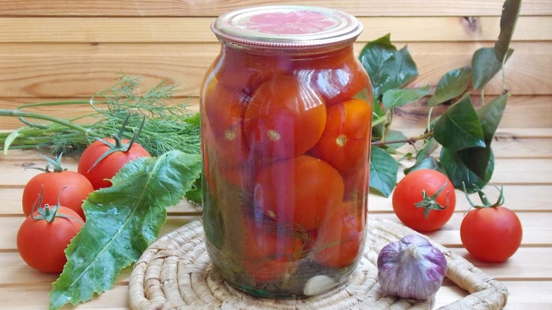 Amazing-tasting recipes for tomatoes with celery for the winter