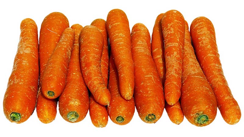 Can there be an allergy to carrots, how it manifests itself and how is it treated?