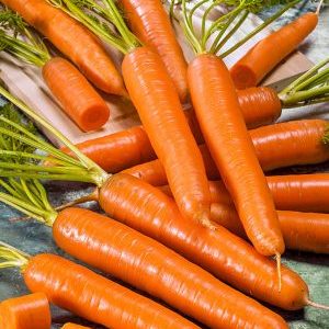 An early ripe hybrid of carrots with excellent yields: Amsterdam