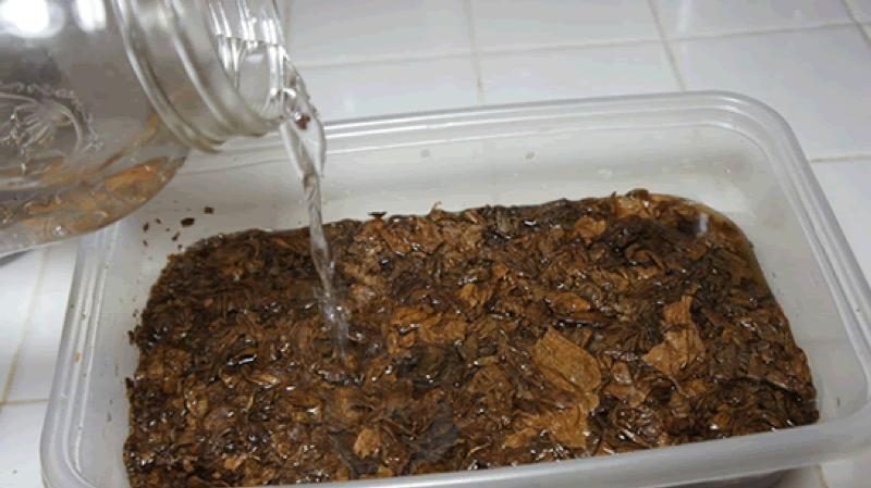 How and how to properly flavor tobacco at home
