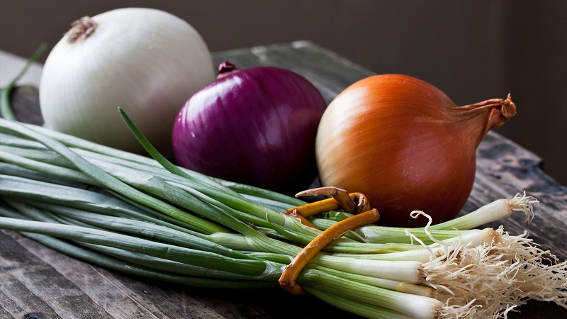 Fast and tasty weight loss on onion soup