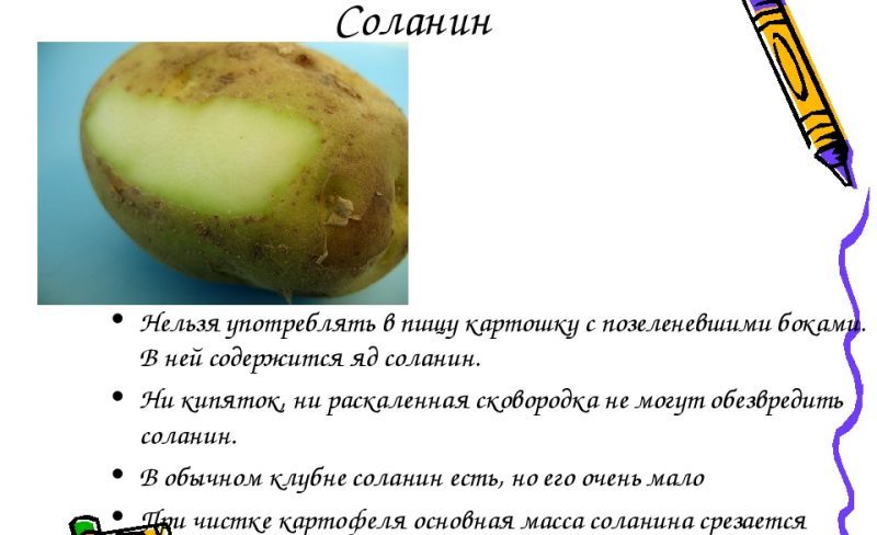 Why is solanine in potatoes dangerous?