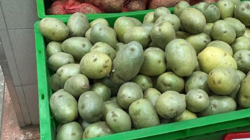 Why is solanine in potatoes dangerous?