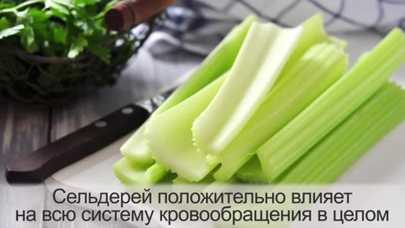 A step-by-step guide to growing stalked celery outdoors