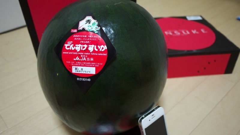 What is black watermelon: description, features and the best varieties of this type