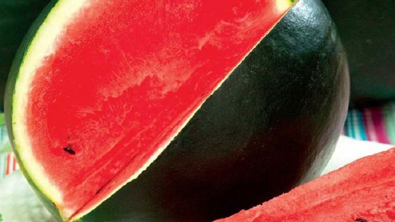 What is black watermelon: description, features and the best varieties of this type