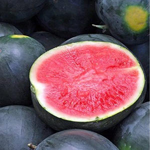 What is black watermelon: description, features and the best varieties of this type