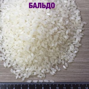 What is Baldo rice and what is it used for
