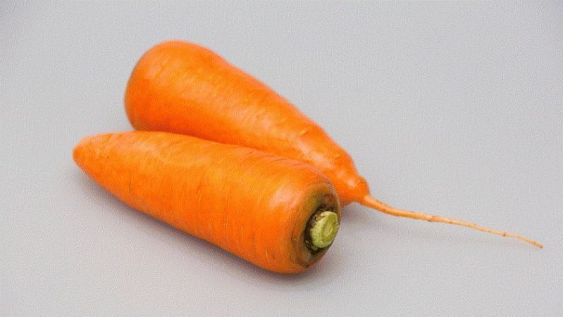 Juicy and sweet hybrid of carrots Abaco F1 with a high yield