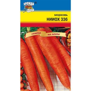 Mid-season carrot variety Niiokh 336