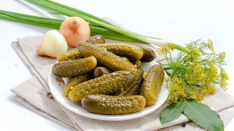 Crispy cucumbers for the winter without sterilization: salting methods