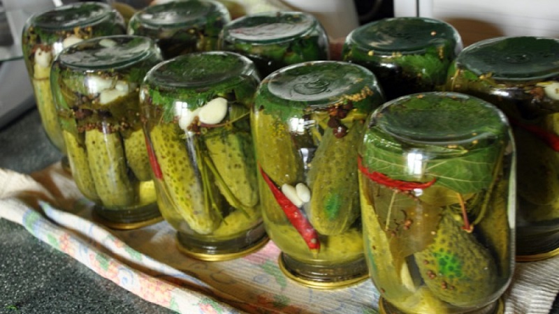 Crispy cucumbers for the winter without sterilization: salting methods