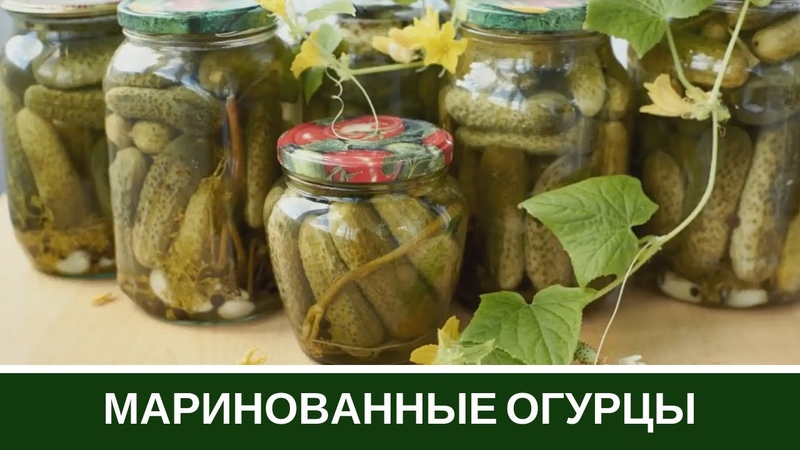 Crispy cucumbers in jars for the winter: season with hot salt