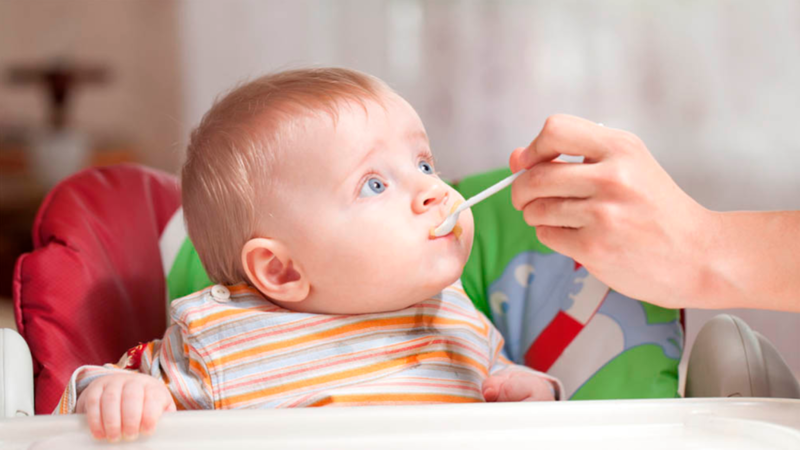 How to cook buckwheat porridge for the first feeding