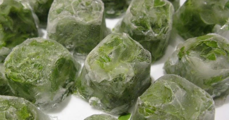 How to make parsley ice for face: beauty and health of skin from simple ingredients