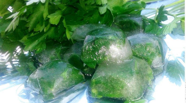 How to make parsley ice for face: beauty and health of skin from simple ingredients