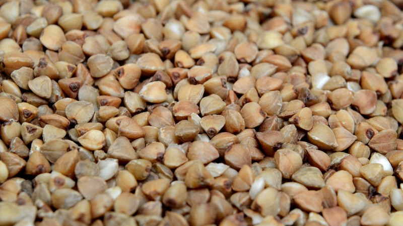 Instructions for buyers: how to choose buckwheat correctly