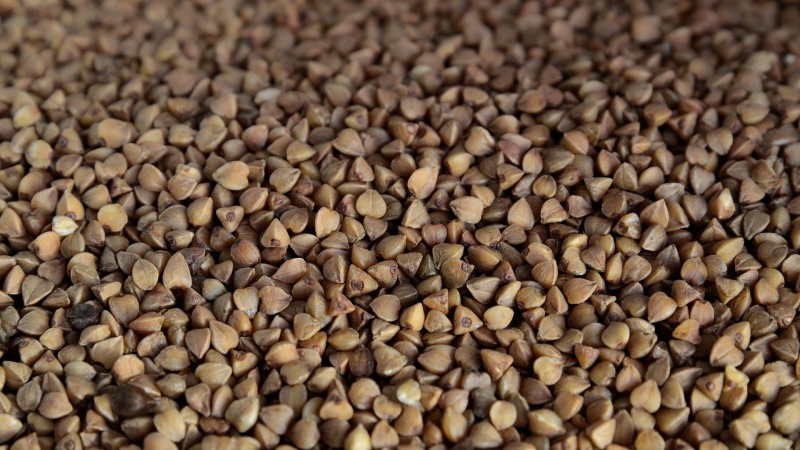 Instructions for buyers: how to choose buckwheat correctly