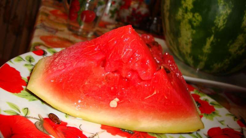 Simple recipes for the winter: how to pickle watermelons in jars