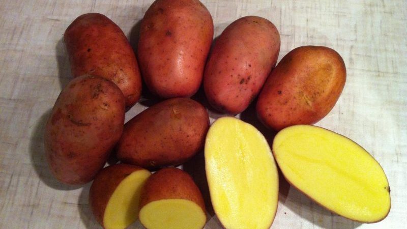 Which potatoes are best for frying: red or white