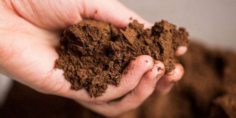 What fertilizers to apply in the fall after harvesting potatoes