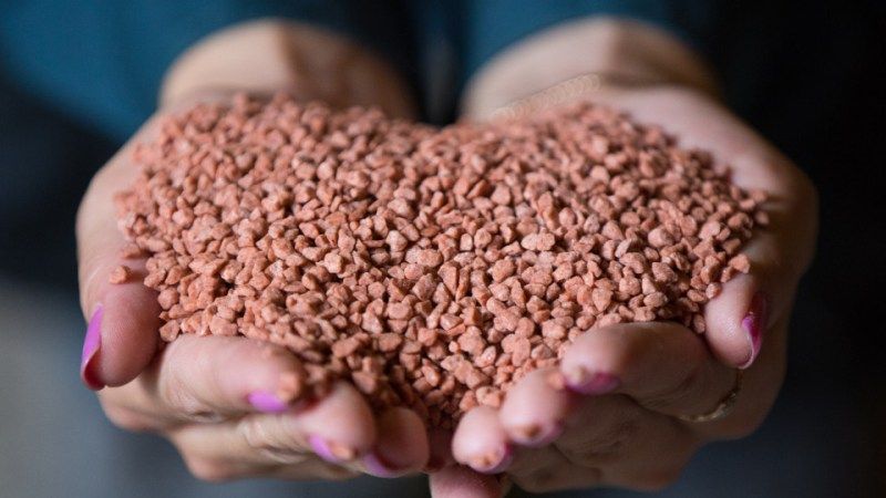 What fertilizers to apply in the fall after harvesting potatoes