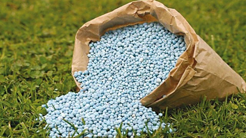 What fertilizers to apply in the fall after harvesting potatoes