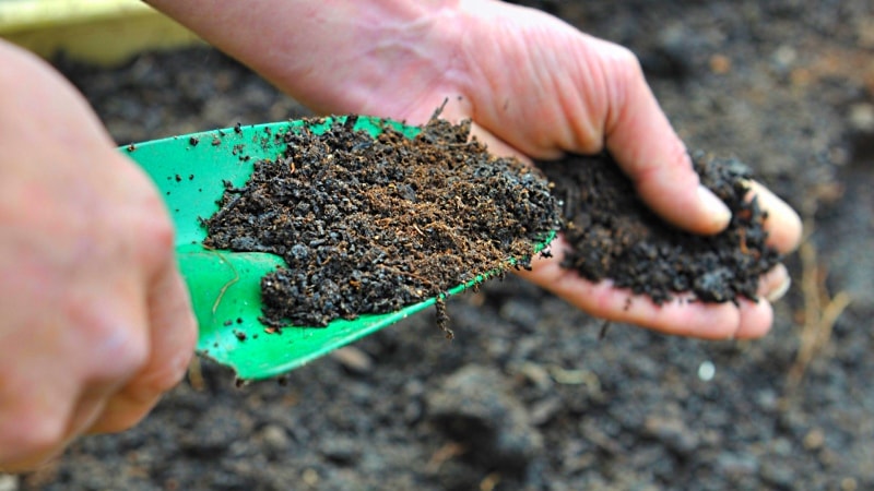 What types of dressings are best used when planting potatoes