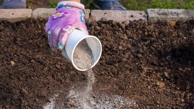 What types of dressings are best used when planting potatoes