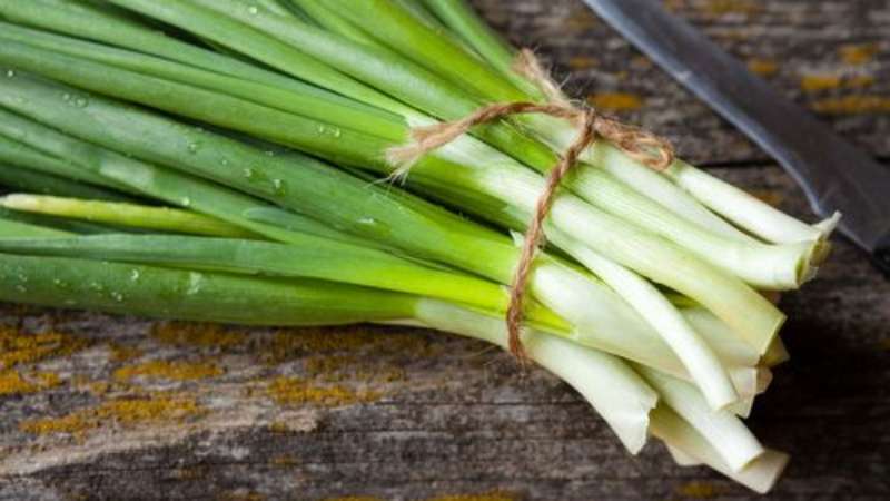 Calorie content, benefits and harms of green onions