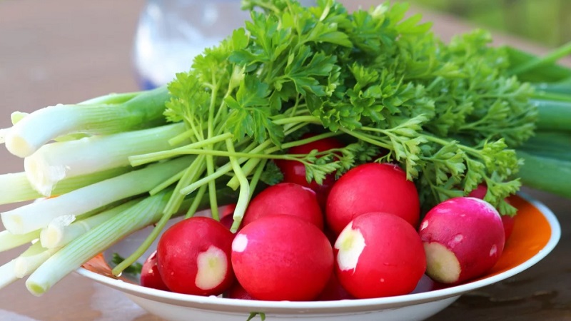 Calorie content of radish and useful properties for the human body
