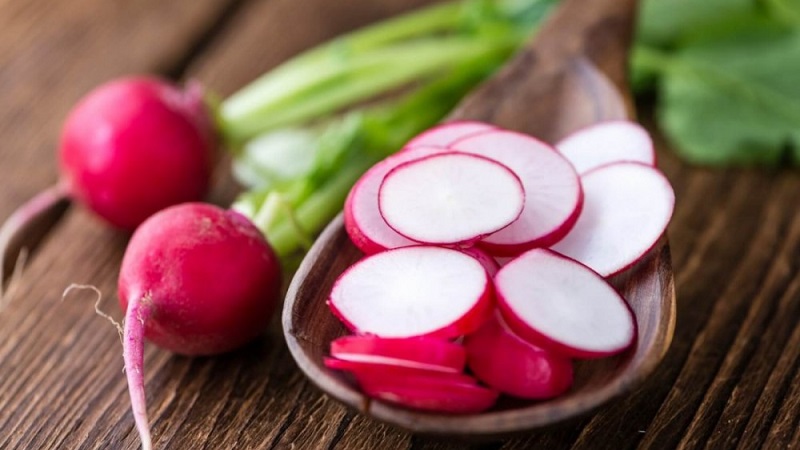 Calorie content of radish and useful properties for the human body