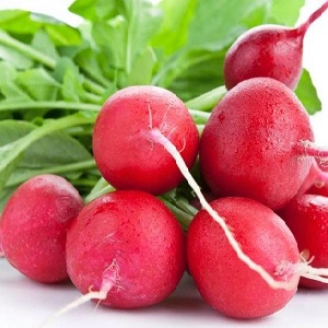 Calorie content of radish and useful properties for the human body
