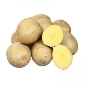 Medium early potato variety Breeze from Belarusian breeders