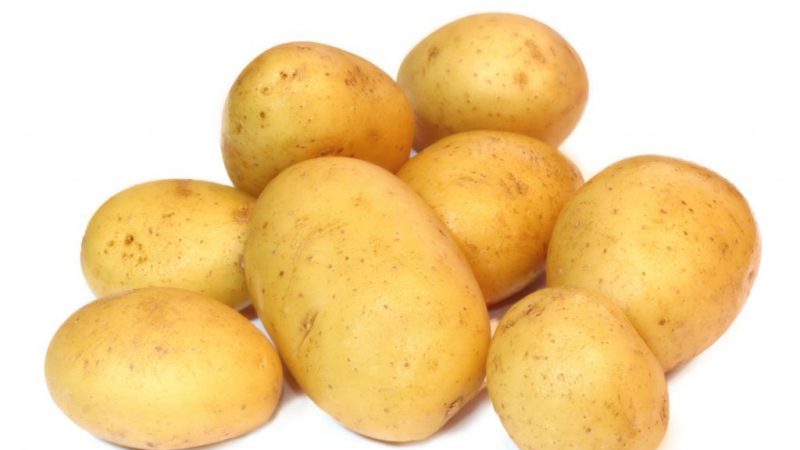 Ideal potato variety for winter purchase: Jelly